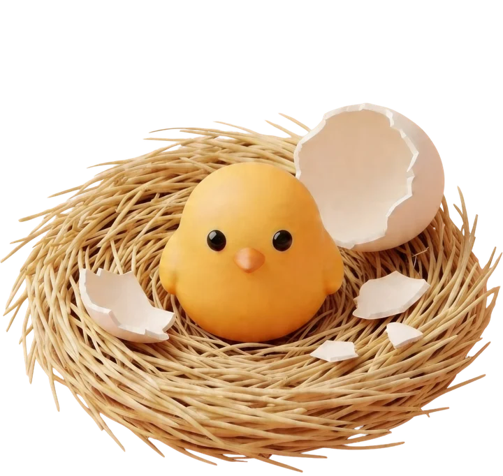 卵から生まれた、巣の中のふわふわな黄色いひよこ